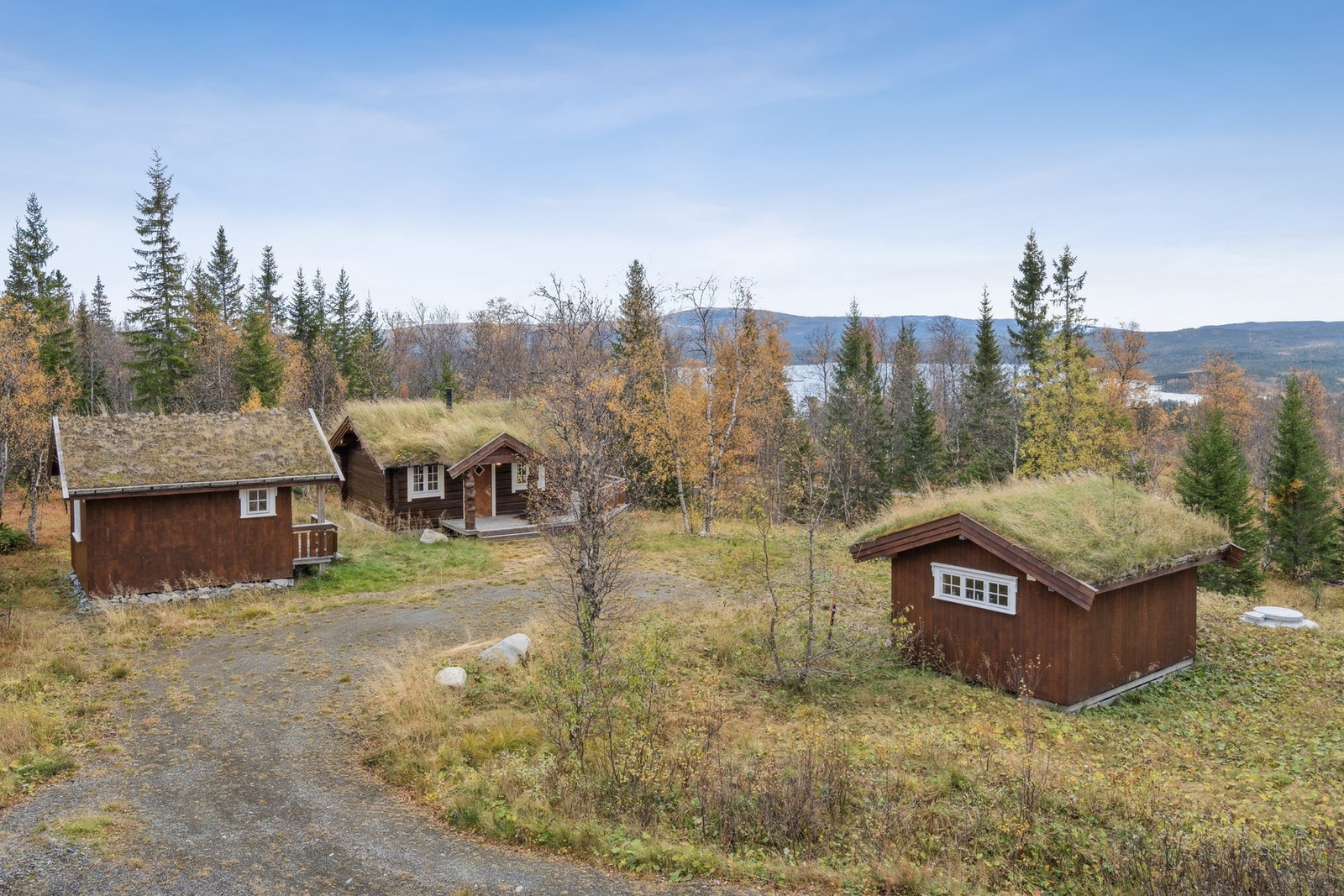 Oliver Almli Reinås ved EiendomsMegler 1 presenterer: Nifingerlia. Galleribilde