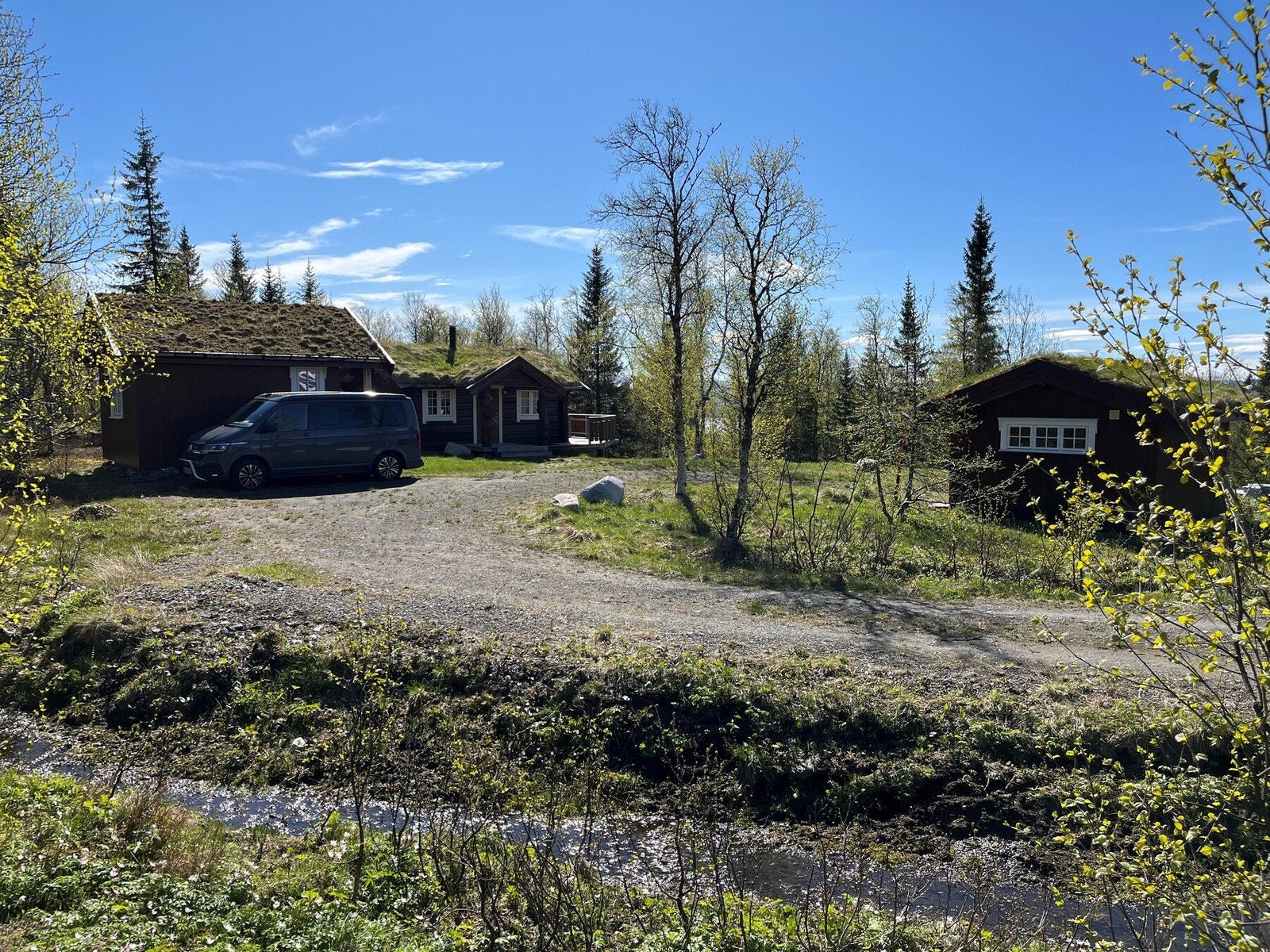 Selgers private sommerbilde. Galleribilde