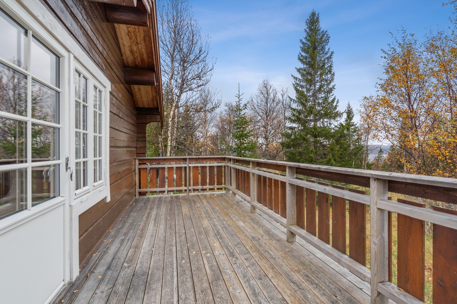 Terrasse Galleribilde