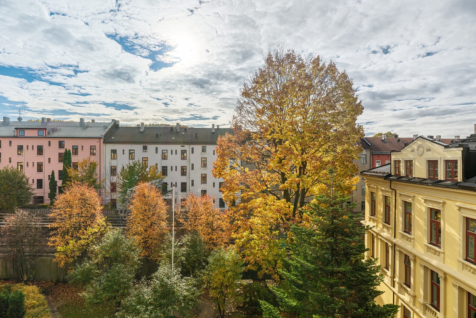 Flott utsikt. Galleribilde