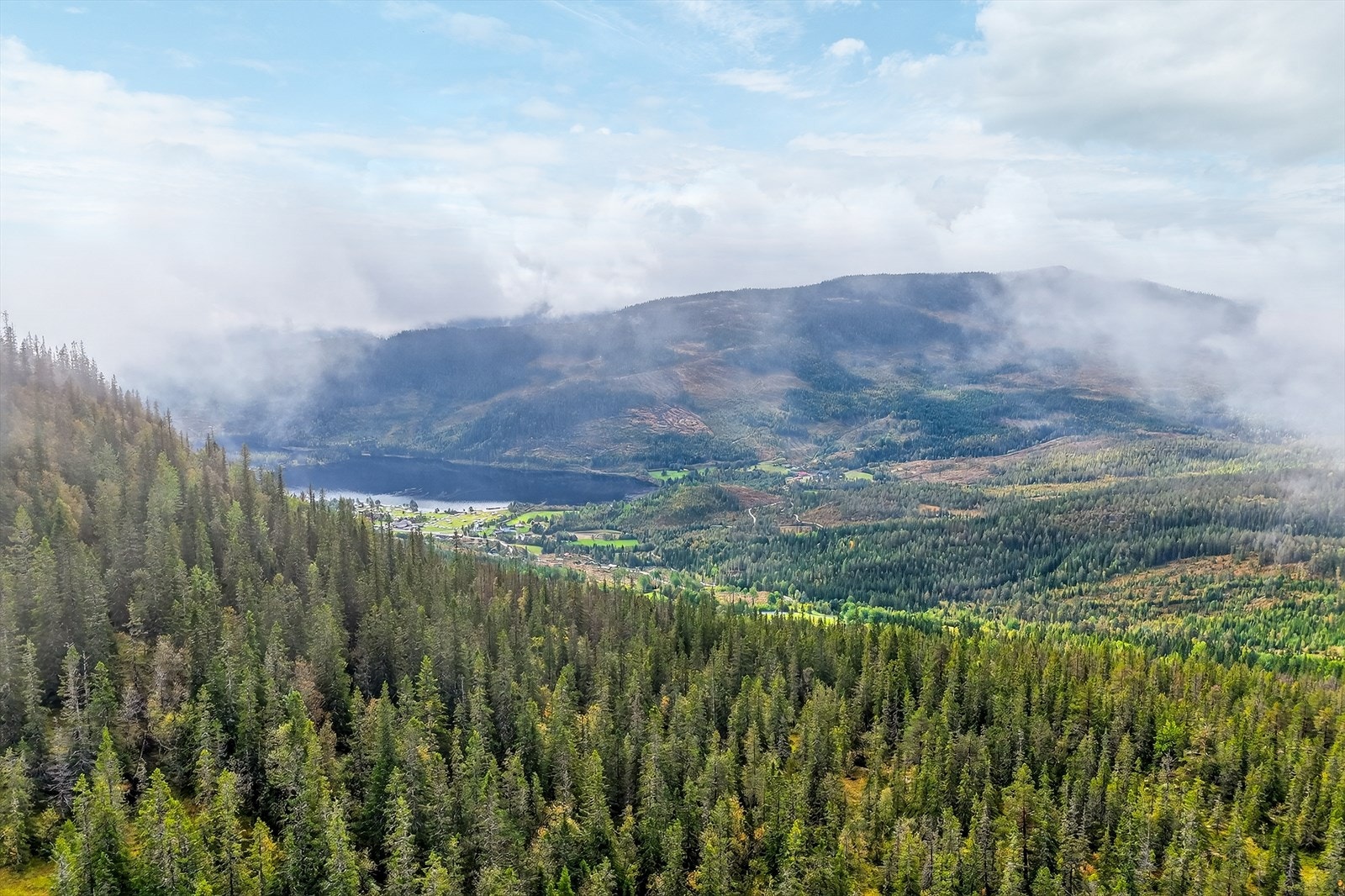 Populære Gaustatoppen må naturlignok nevnes, som ligger i nærområdet, hvor en spektakulær utsikt kan nytes på godværsdager og kaféen på toppen tilbyr vafler og annet godt Galleribilde