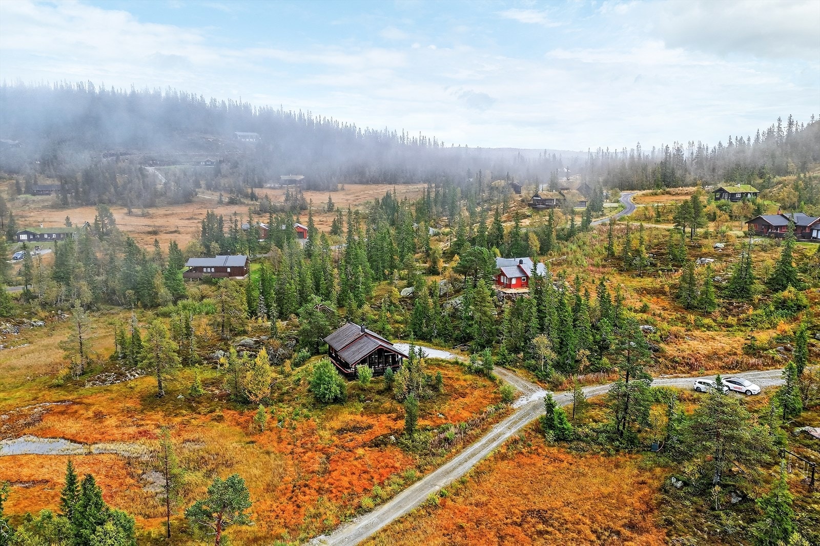 Sommerstid er det mange oppmerkede turstier med variert terreng. Galleribilde