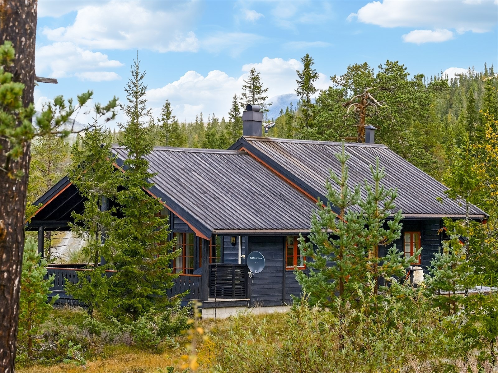 Her er det åpent og luftig rundt hytta, samtidig som uteplassene ligger usjenert og lunt til. Galleribilde