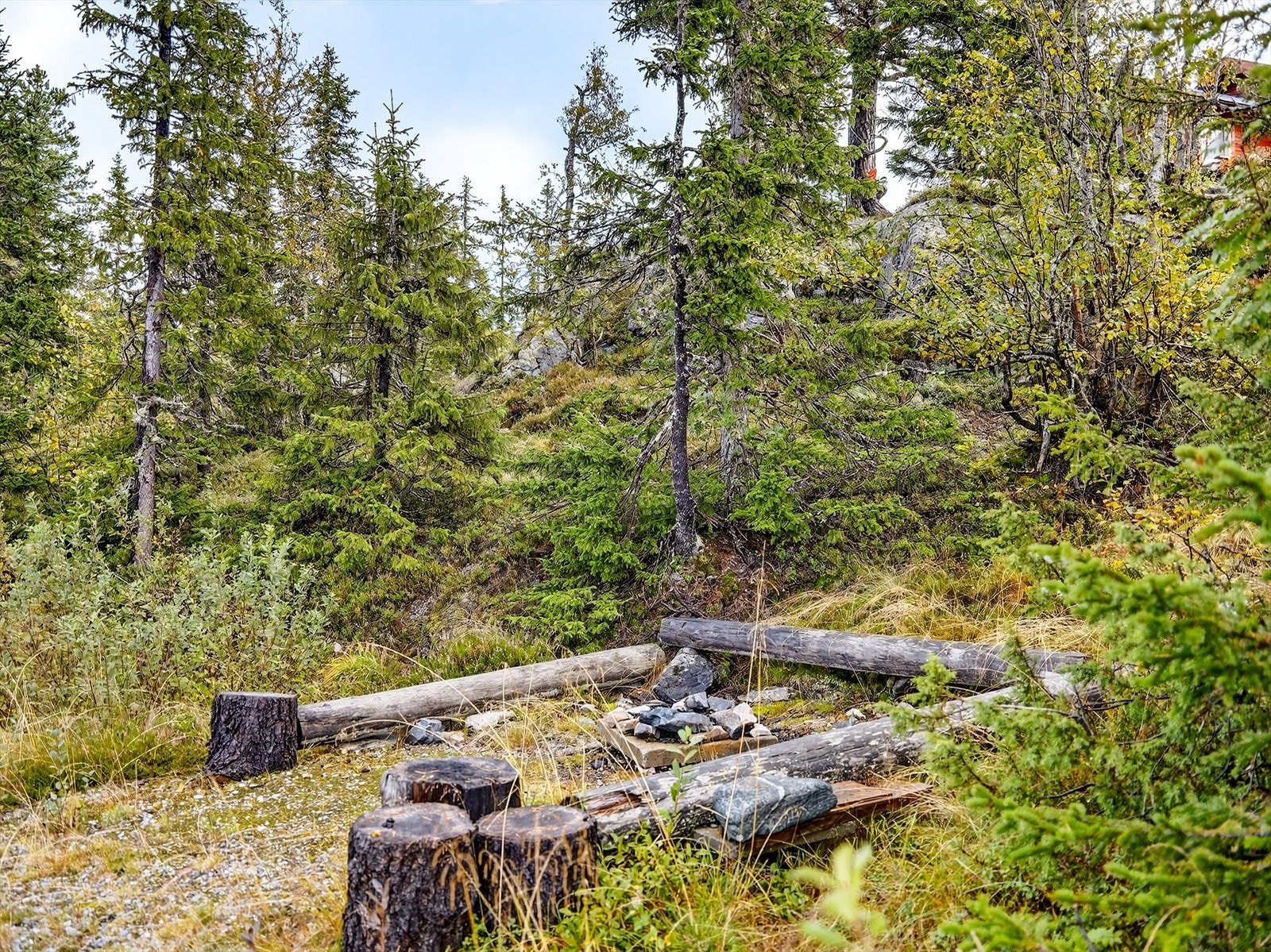 Idyllisk naturtomt med hovedsakelig naturlig vegetasjon. Galleribilde