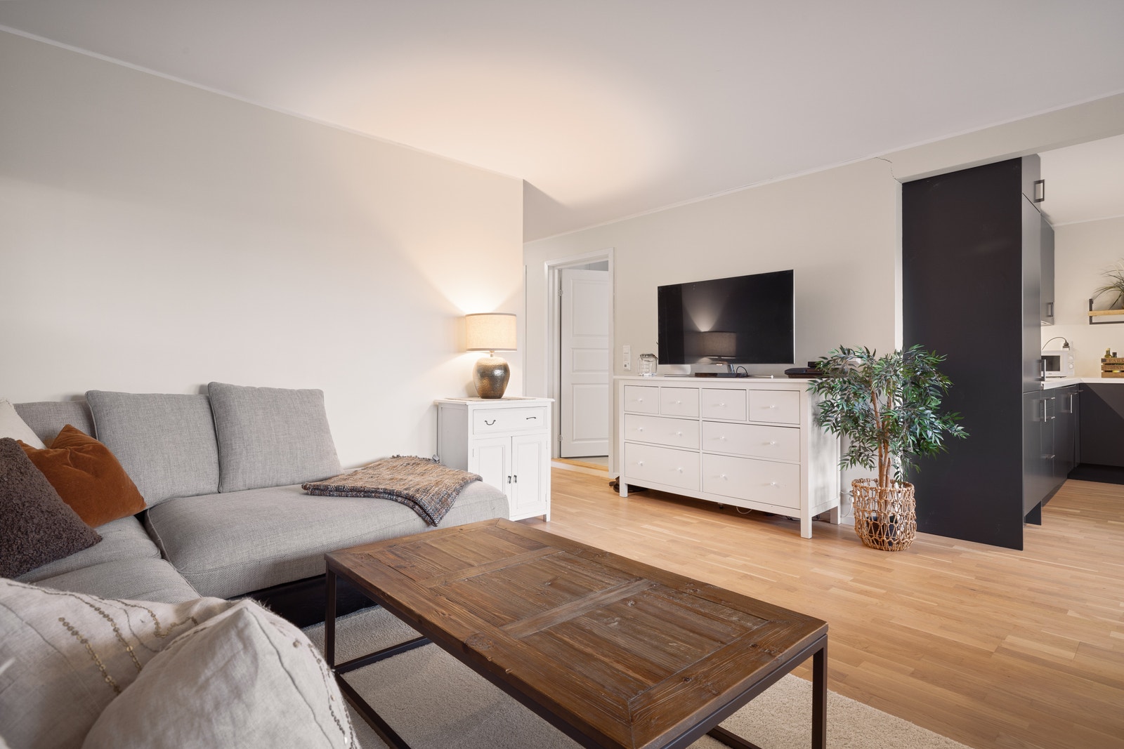 Utleieleilighet - stue Galleribilde