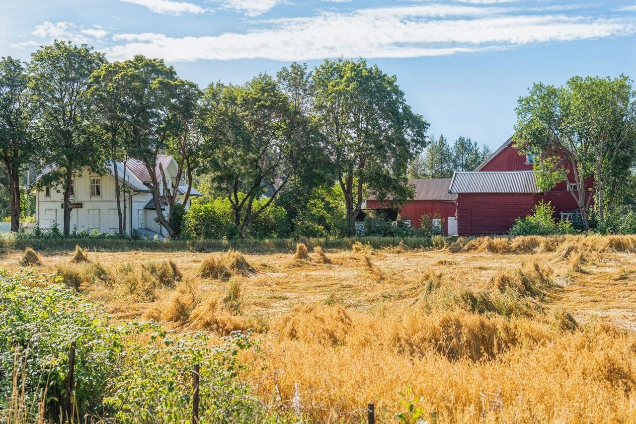 Deler av eiendommen består av fulldyrka jord og produktiv skog. Galleribilde