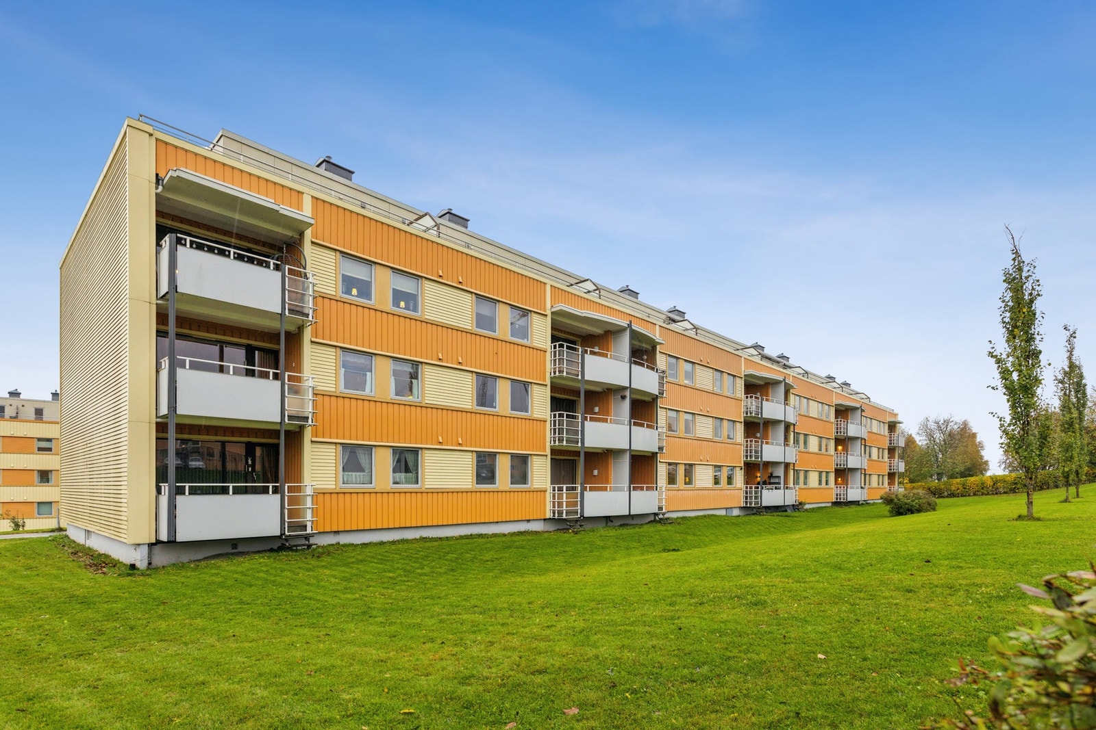 Velkommen til visning! Galleribilde