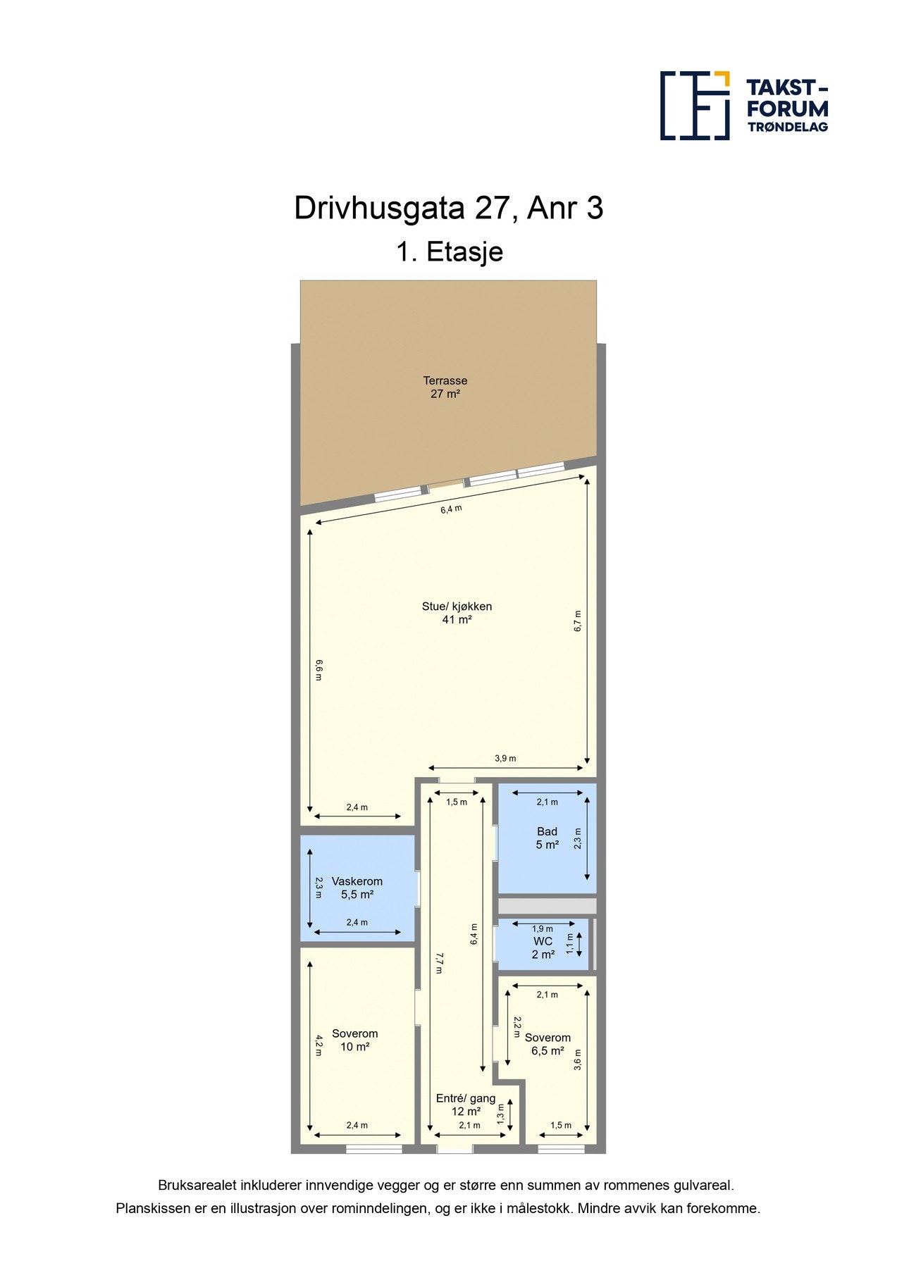 Planksisse. Galleribilde