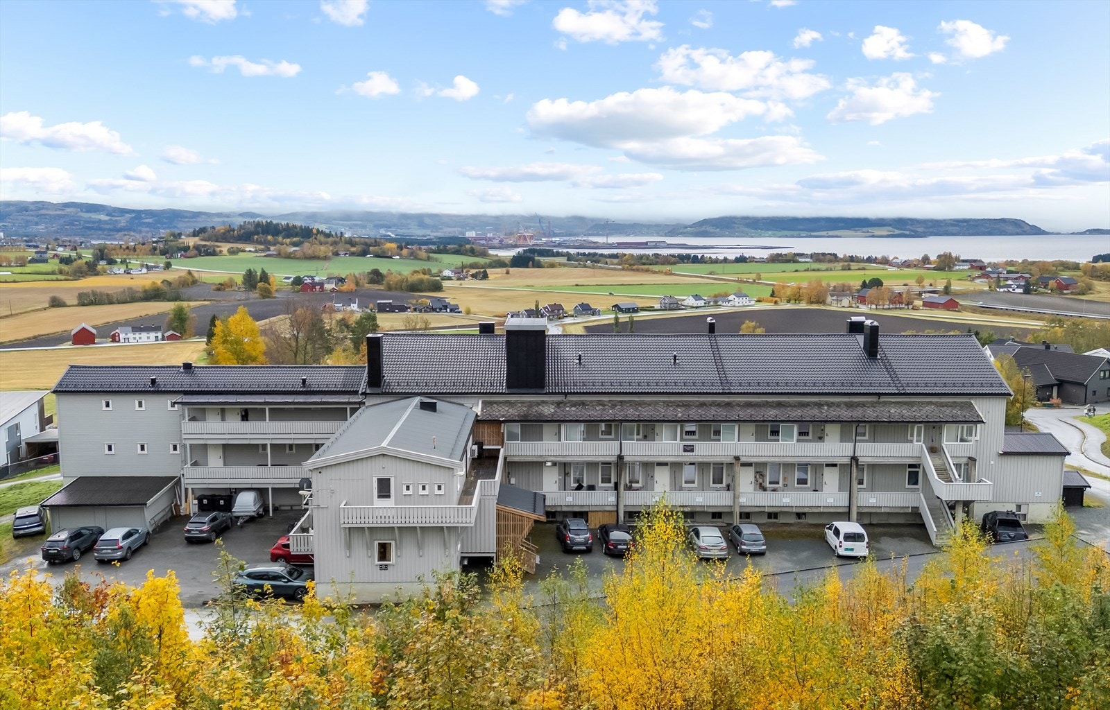 Velkommen til en hyggelig visning! Galleribilde