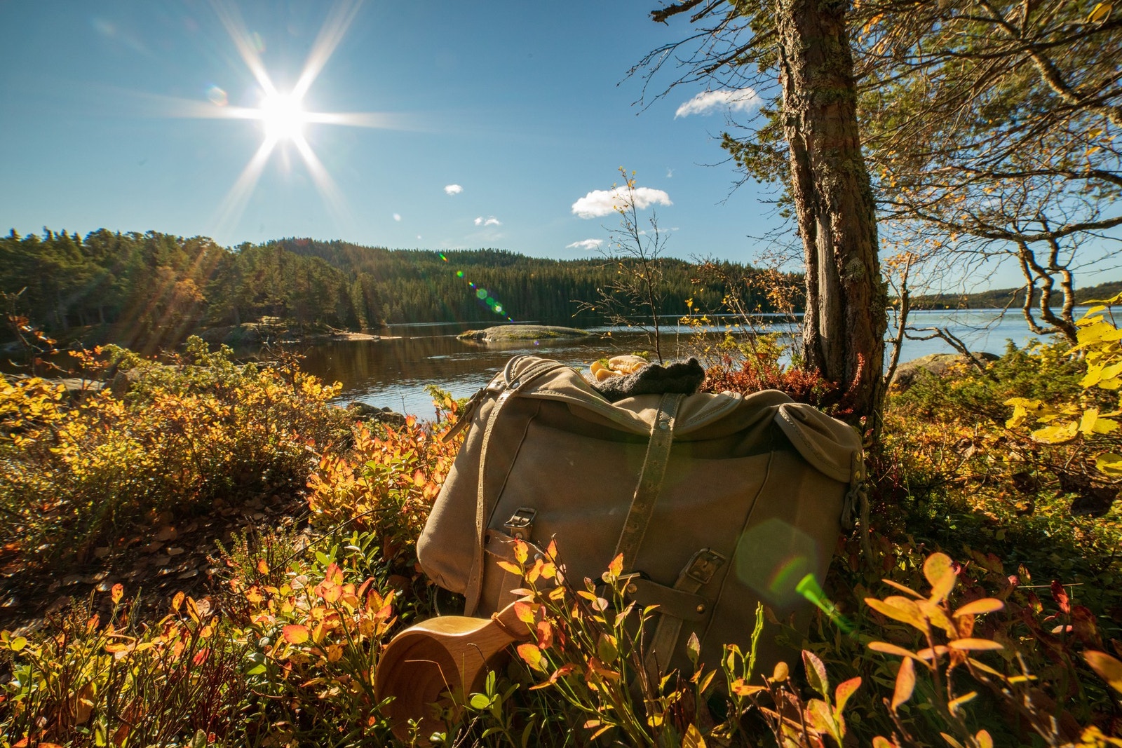 Fra hytta er det fin sykkelavstand til Fagerstrand Galleribilde