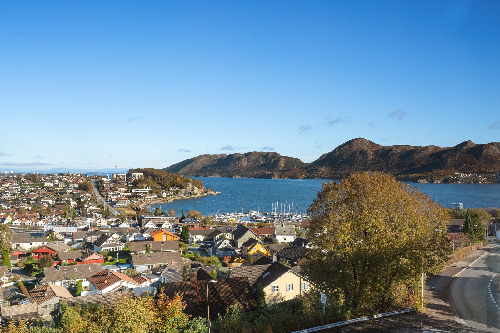 Sjekk utsikten! Galleribilde