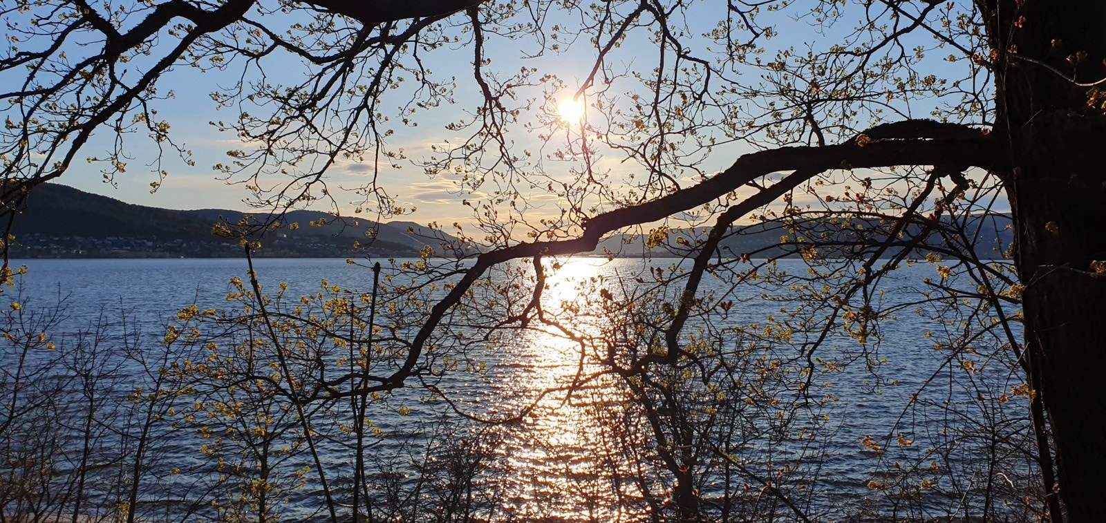 Engersand Havn er blitt et populært og ettertraktet boligområde, først og fremst på grunn av den sjønære beliggenheten, vestvendt med sol hele dagen og rike muligheter for badeliv, sjøliv og friluftsliv (selgers private bilde) Galleribilde