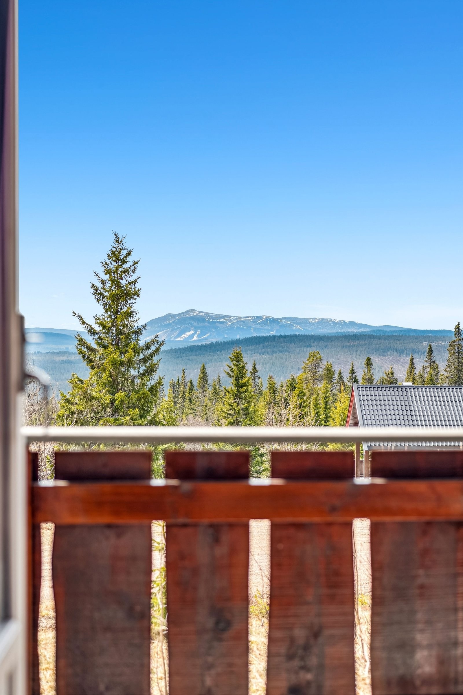 Utsikt mot Trysilfjellet Galleribilde