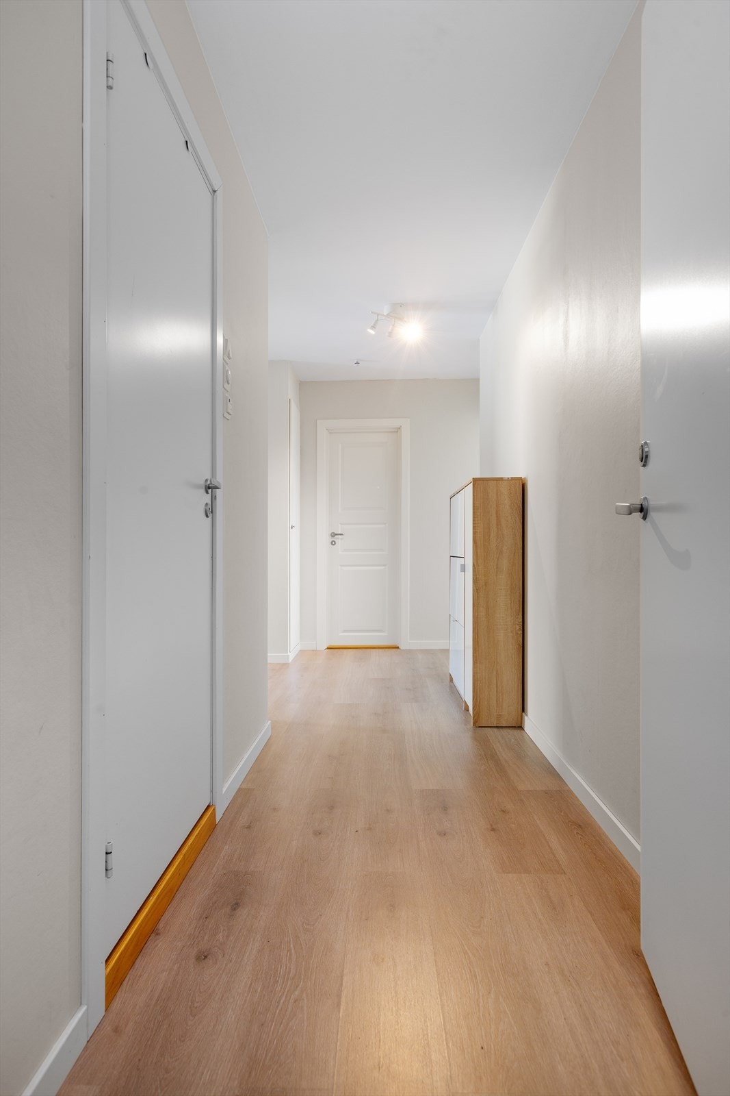 Velkommen inn! Gangen fikk alle overflater oppusset i 2019 med laminatgulv, malte vegger og malte tak Galleribilde