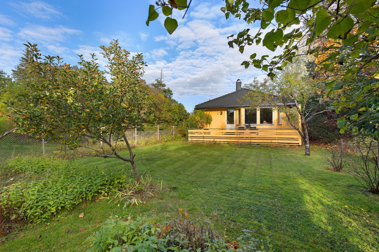 Pent opparbeidet flat tomt med fruktrær Galleribilde