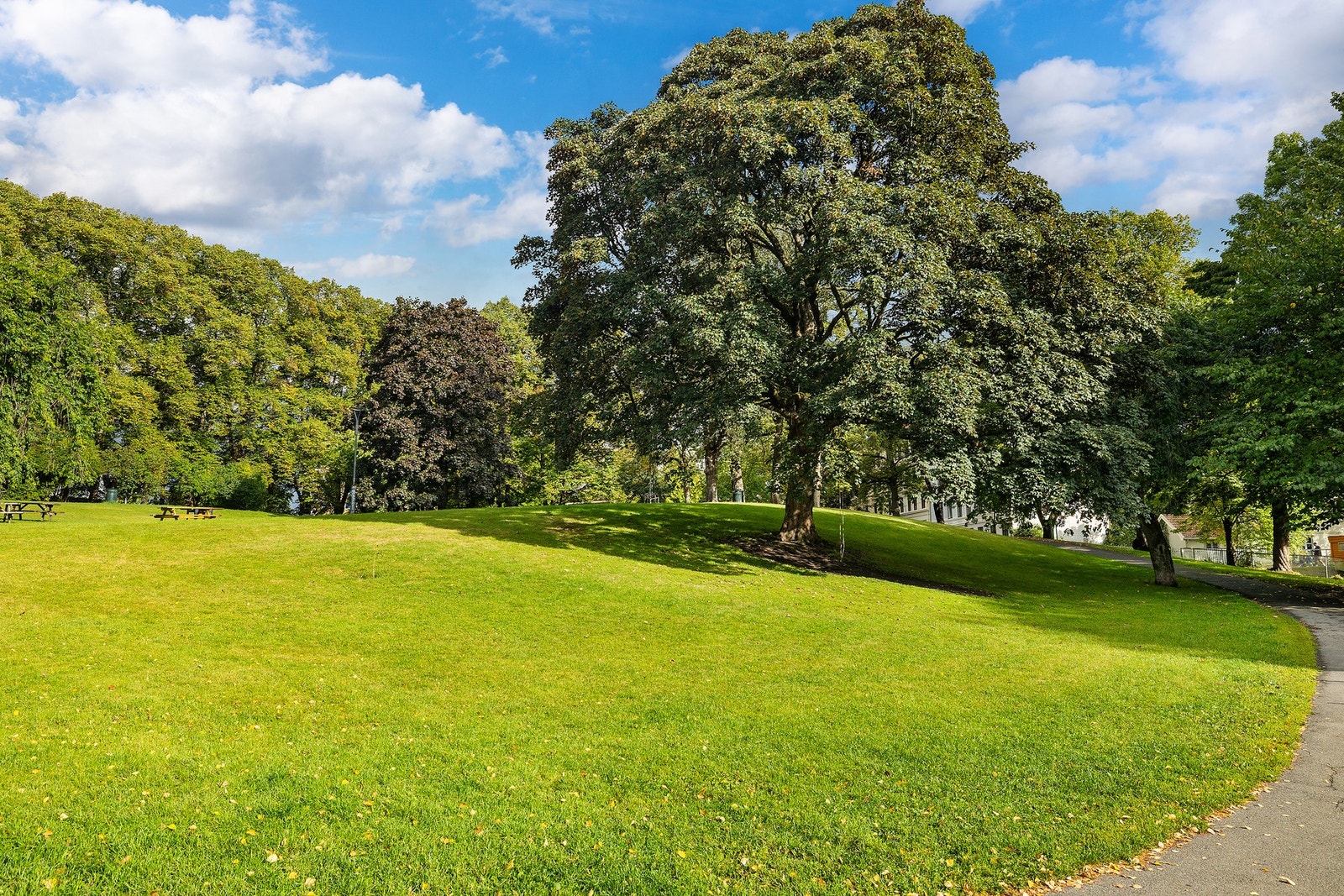 Bjølsenparken Galleribilde