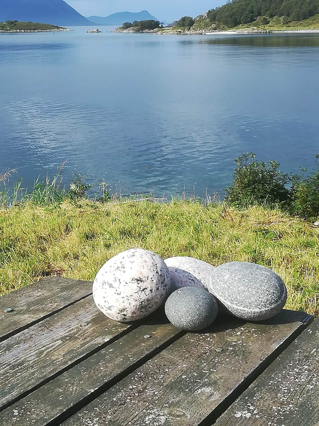 Selgers eget bilde Galleribilde