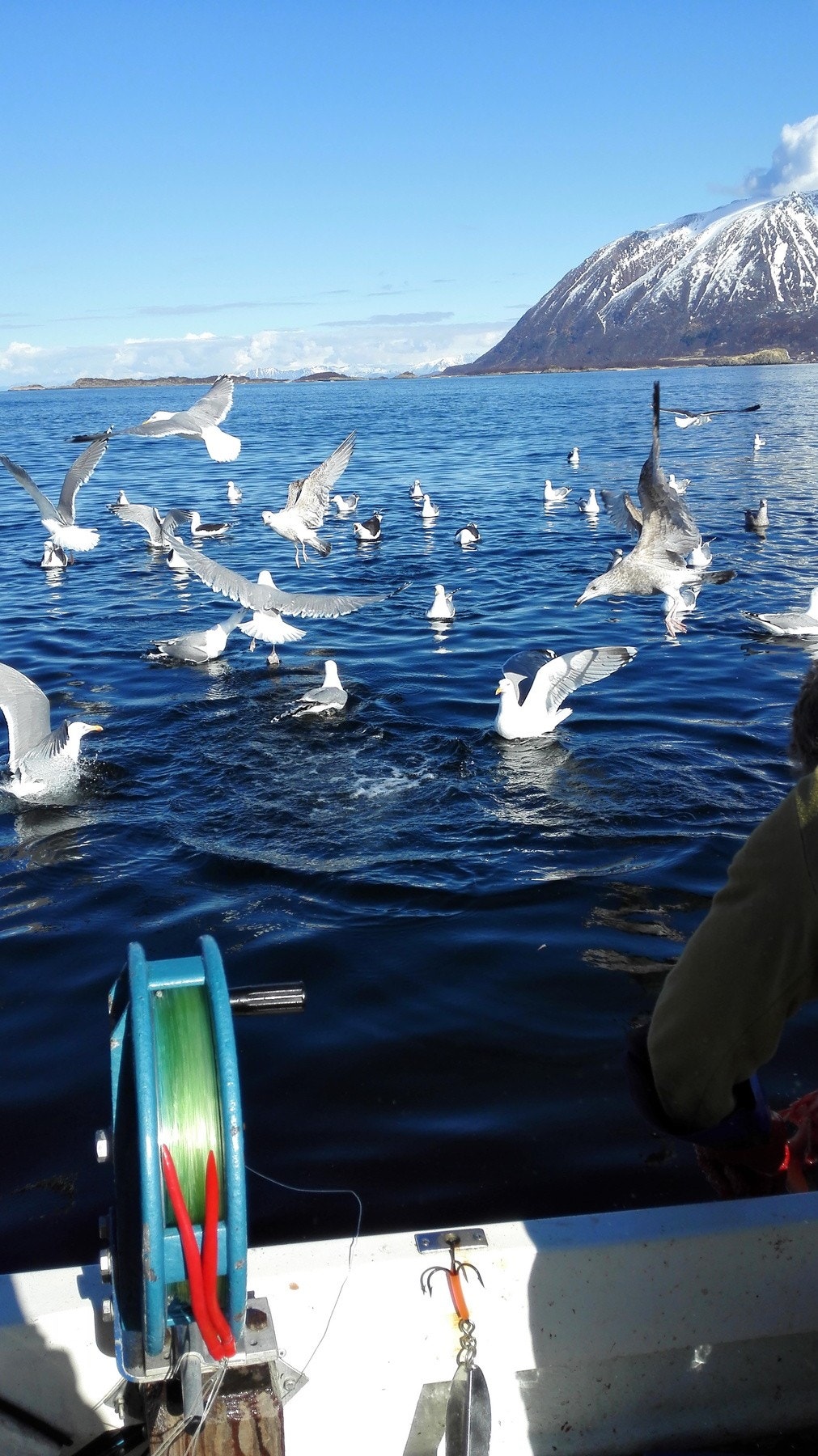 Selgers eget bilde Galleribilde