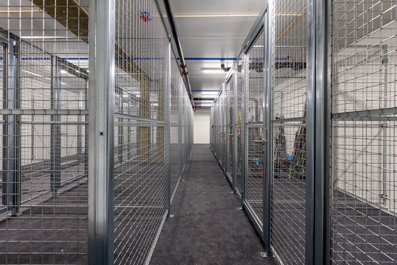 269A8334 Galleribilde