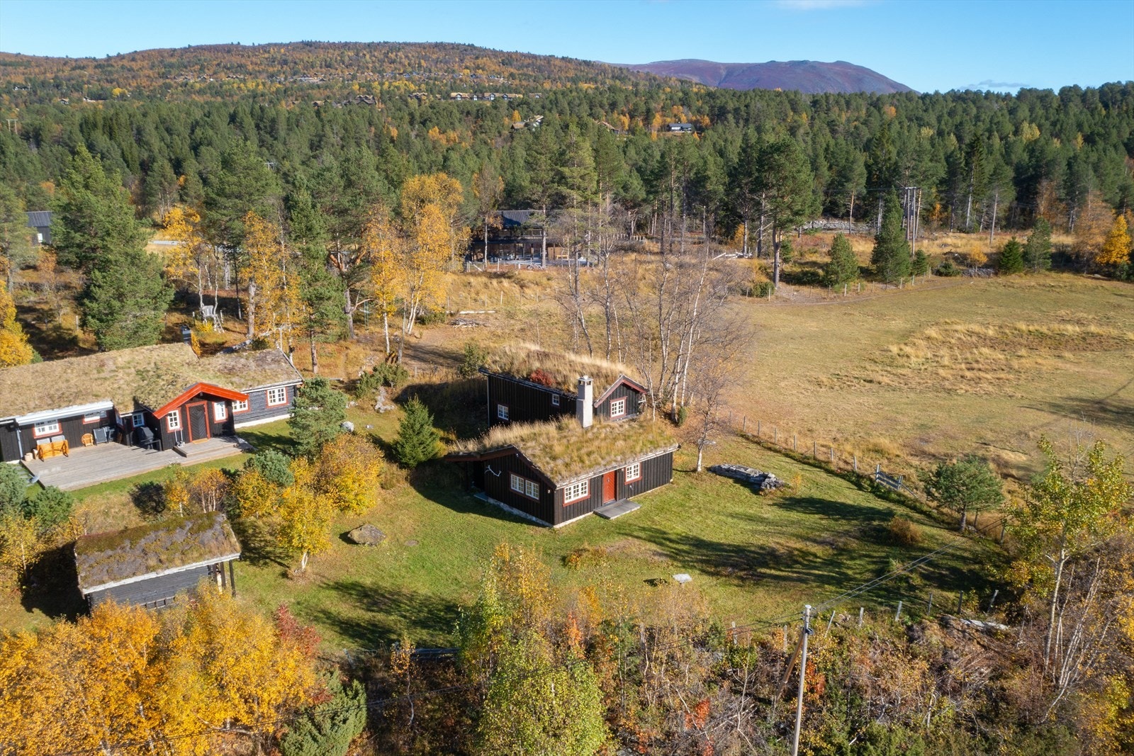 Oversiktsbilde Galleribilde