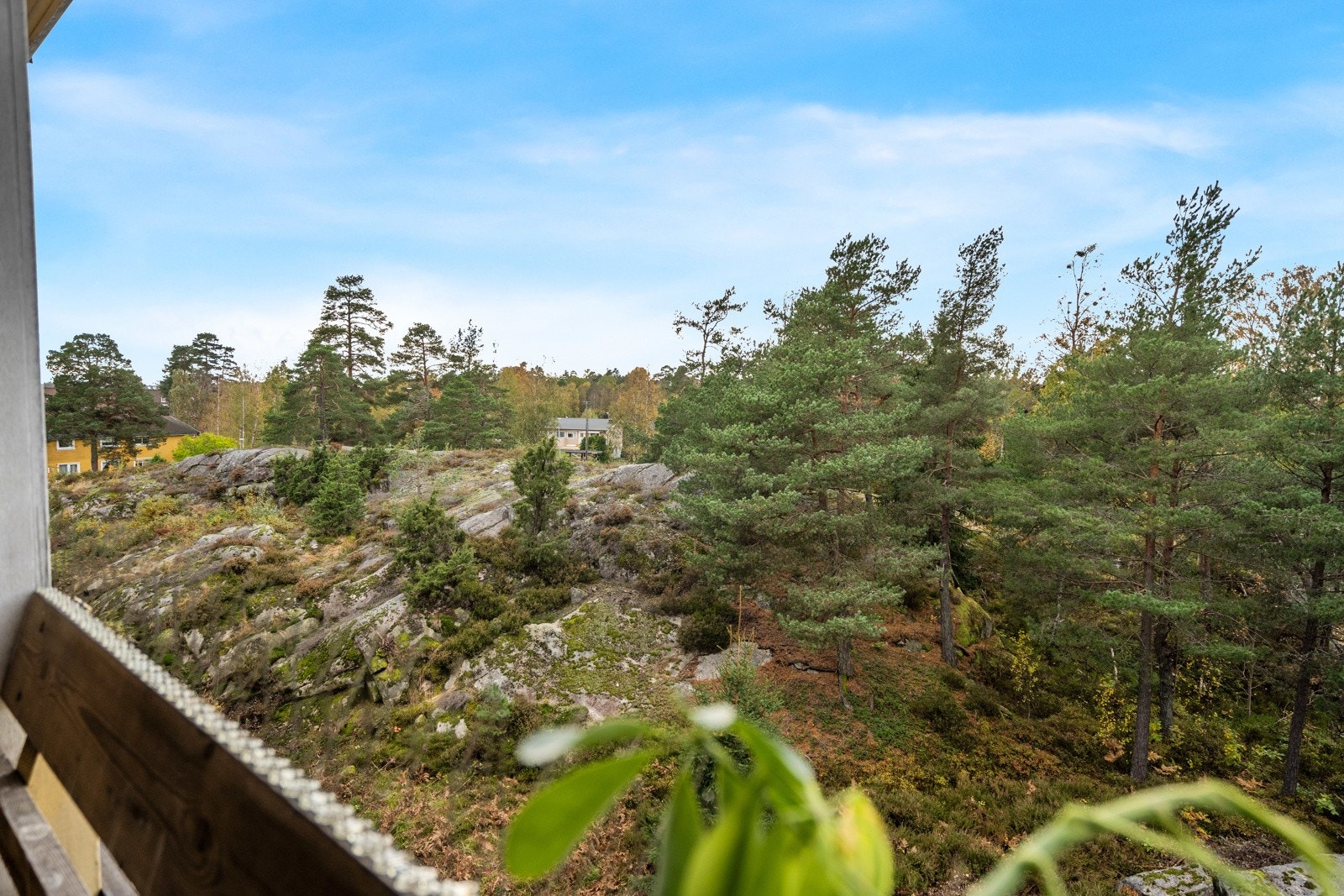 Flott utsyn mot grønne omgivelser og skogen. Galleribilde