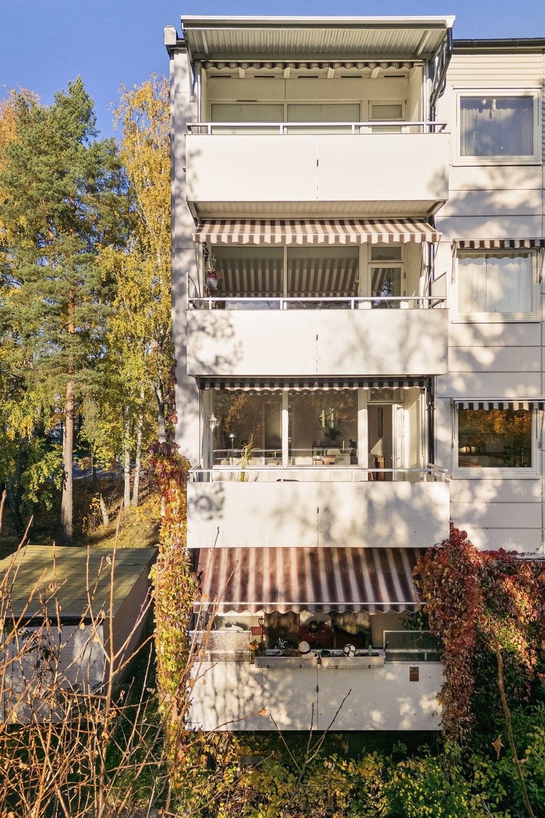 Velkommen til Rustadgrenda 3! Galleribilde