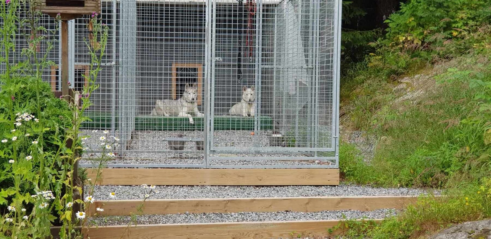 Selgers eget bilde. Galleribilde