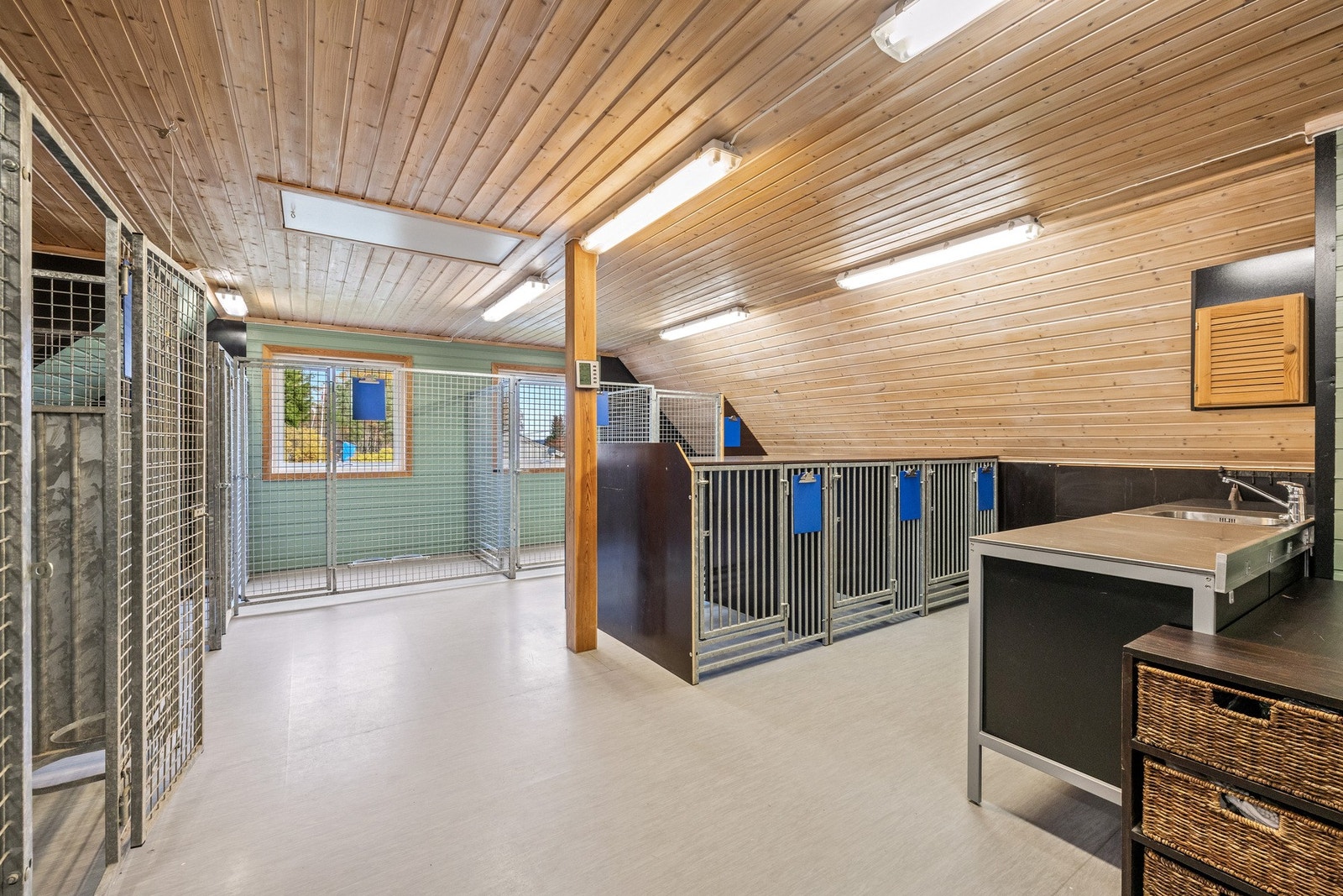 Det er innredet med store og mindre inngjerdinger for hund. Burene til venstre i bildet har adkomst til egne hundegårder på baksiden av garasjen. Galleribilde