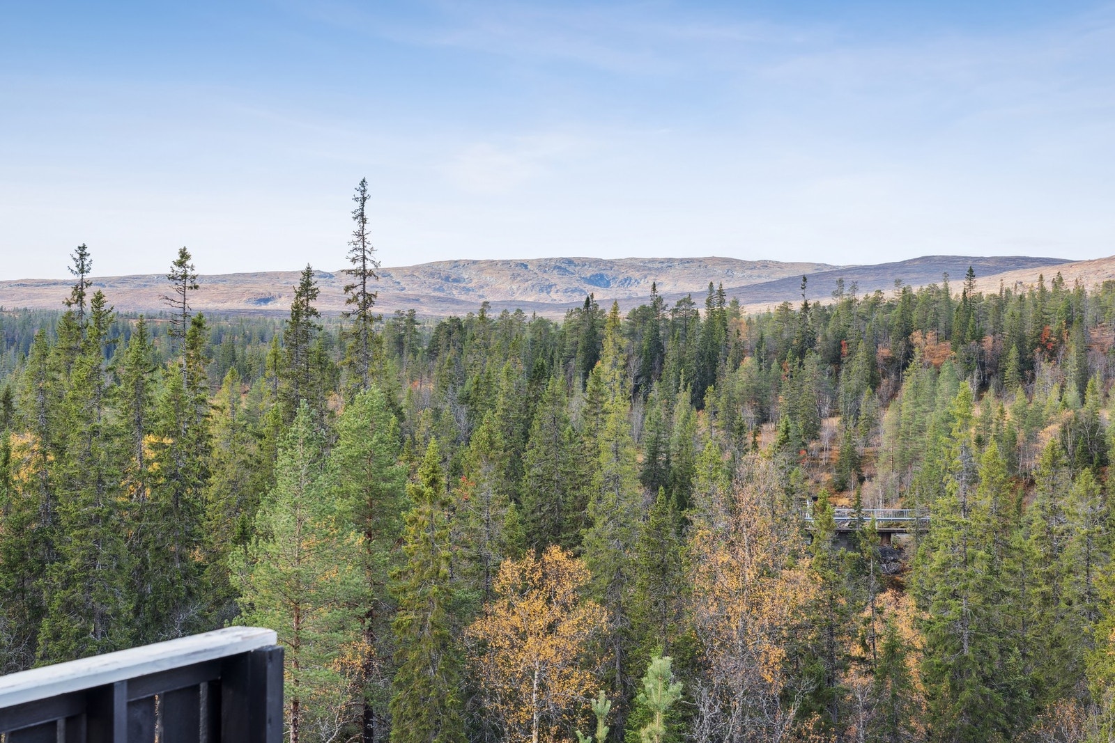 Solrik tomt med svært lite innsyn og lite naboer. Galleribilde