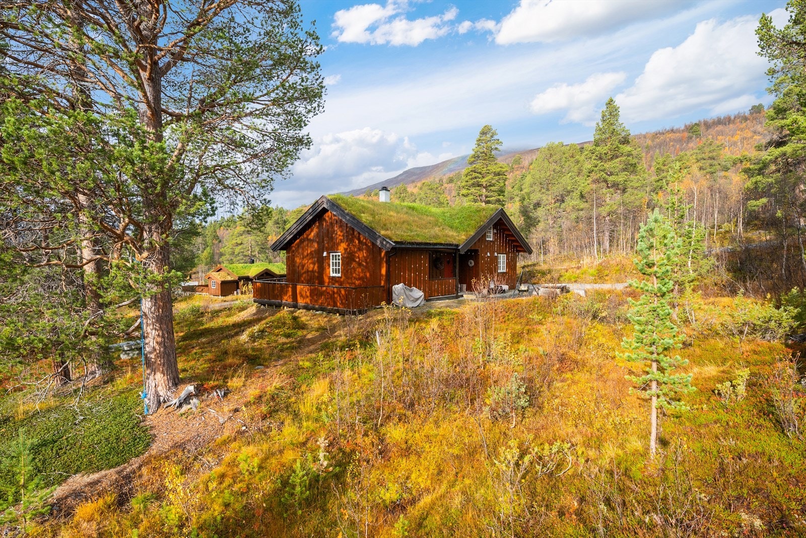 Hytta ligger tett på naturen. Galleribilde