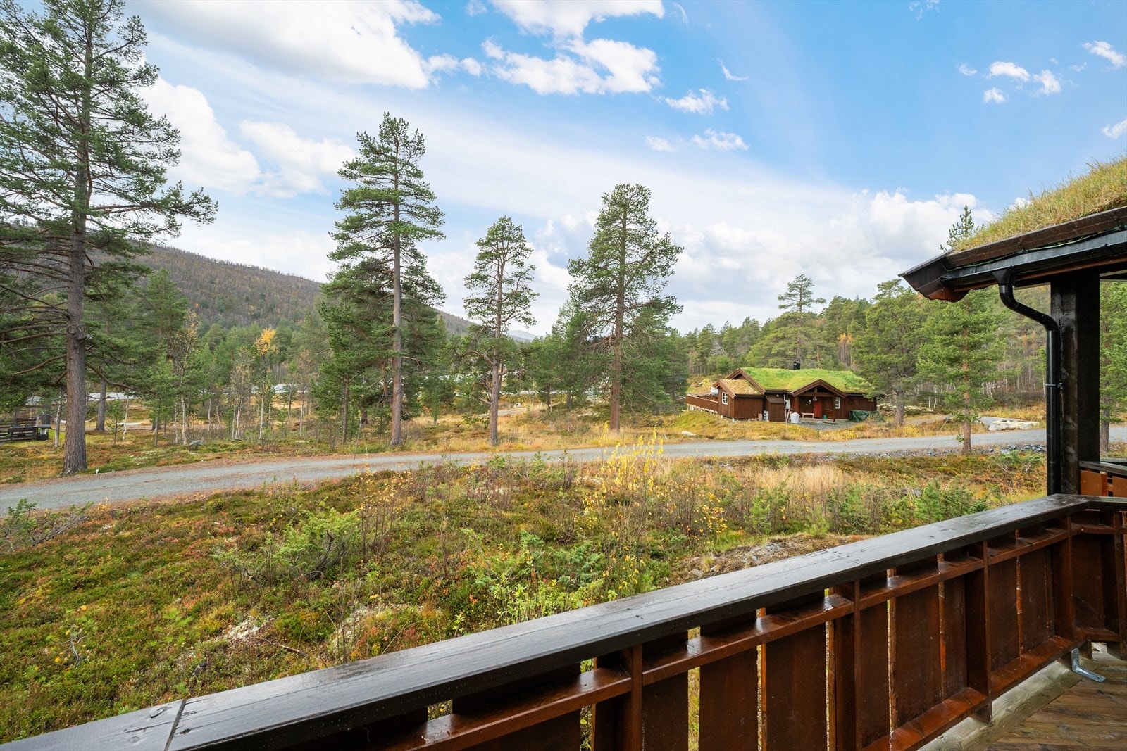 Her kan man nyte den behagelige utsikten. Galleribilde