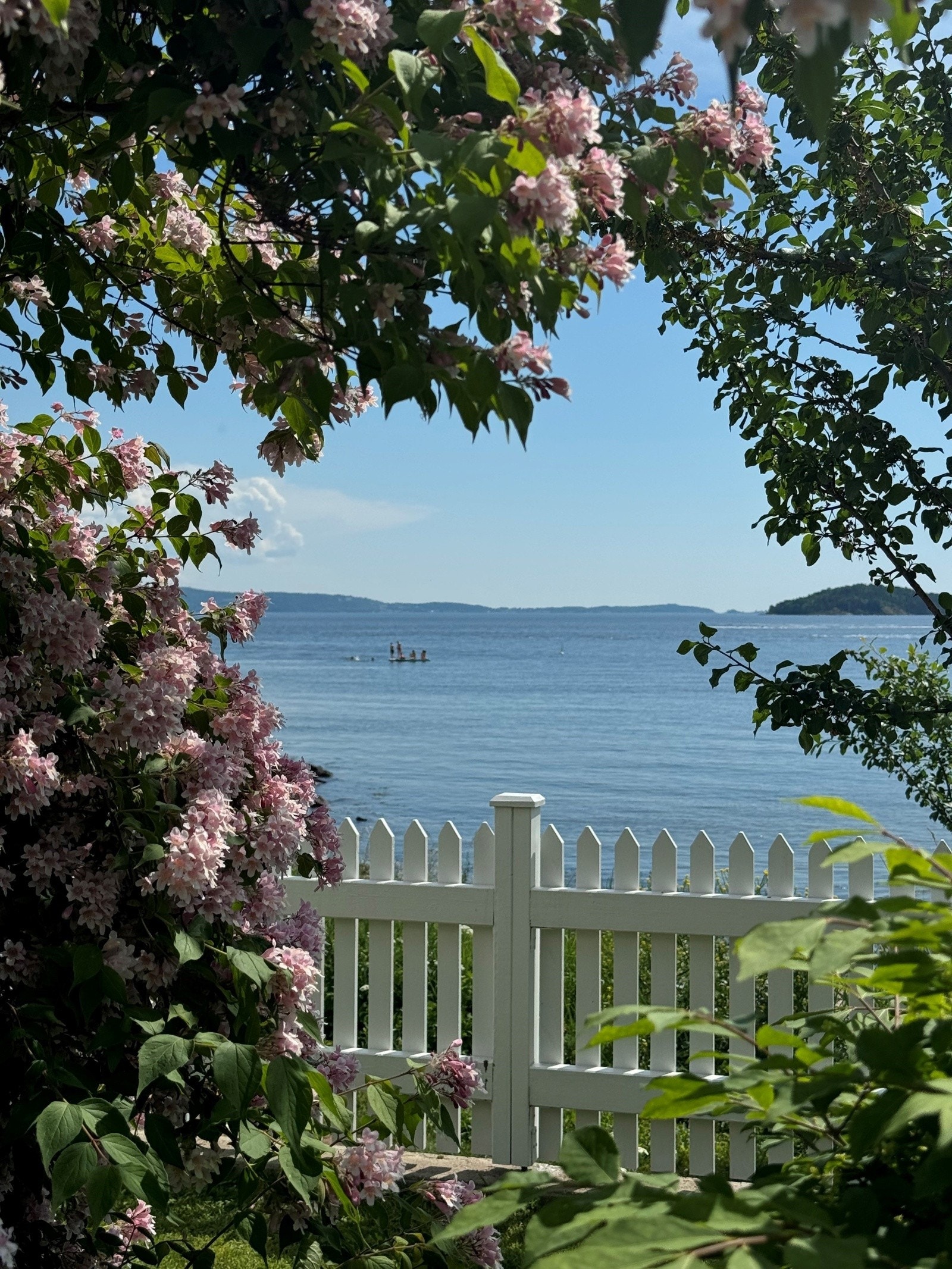 Selgers private bilde fra hagen Galleribilde