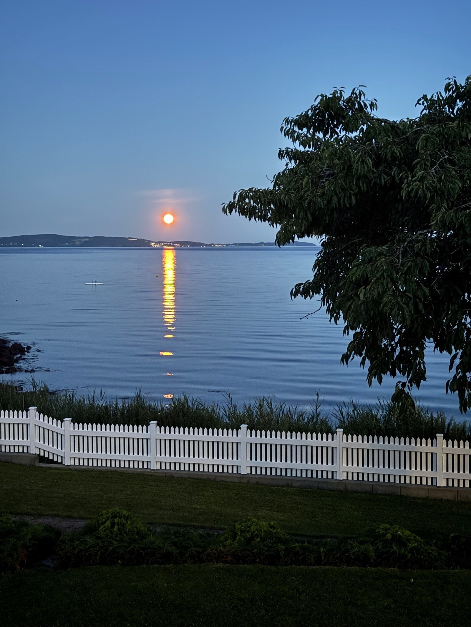 Selgers private bilde Galleribilde