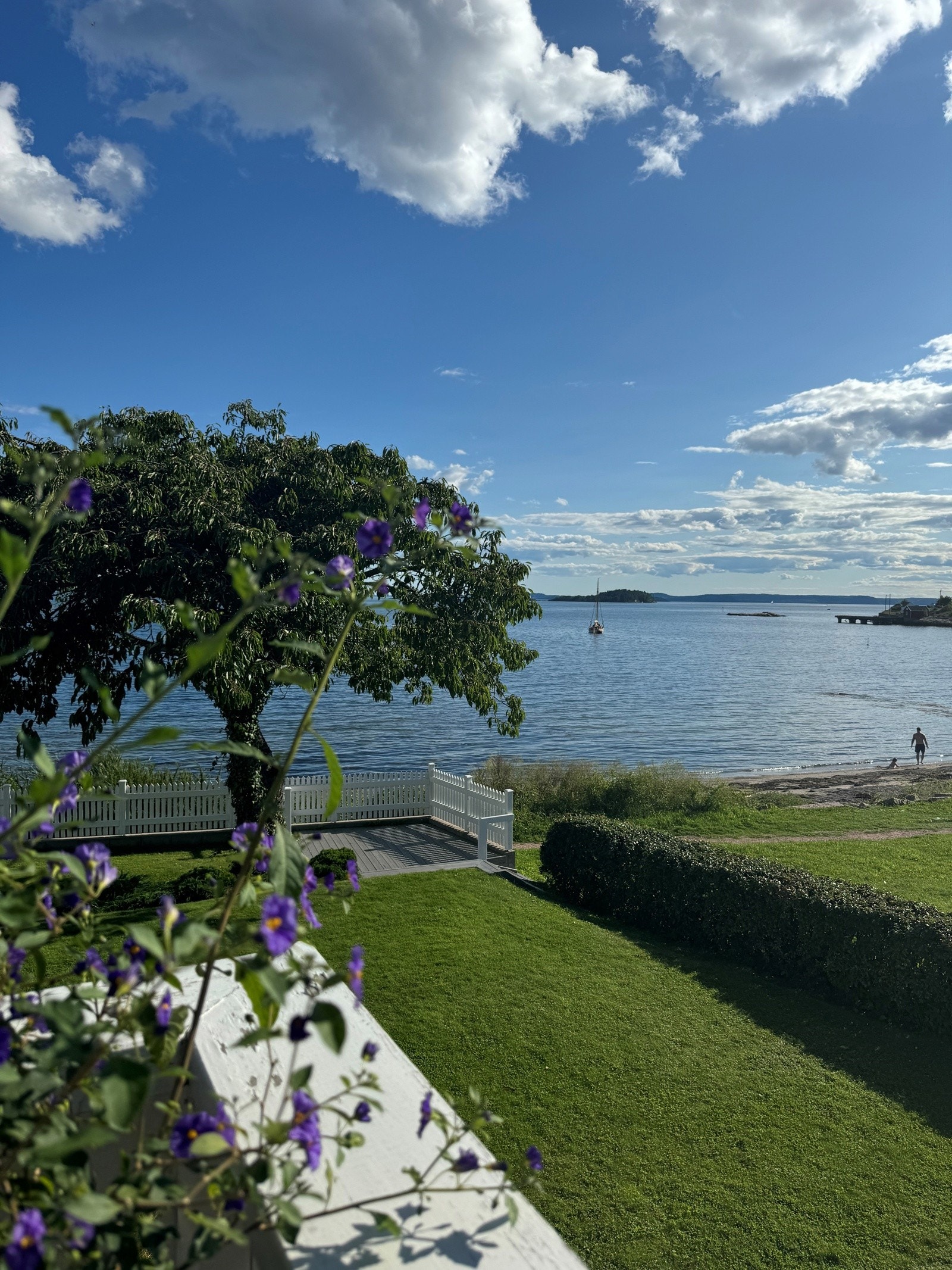 Selgers private bilde Galleribilde