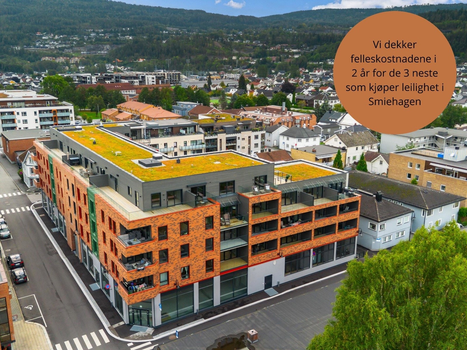 Kampanje! Galleribilde