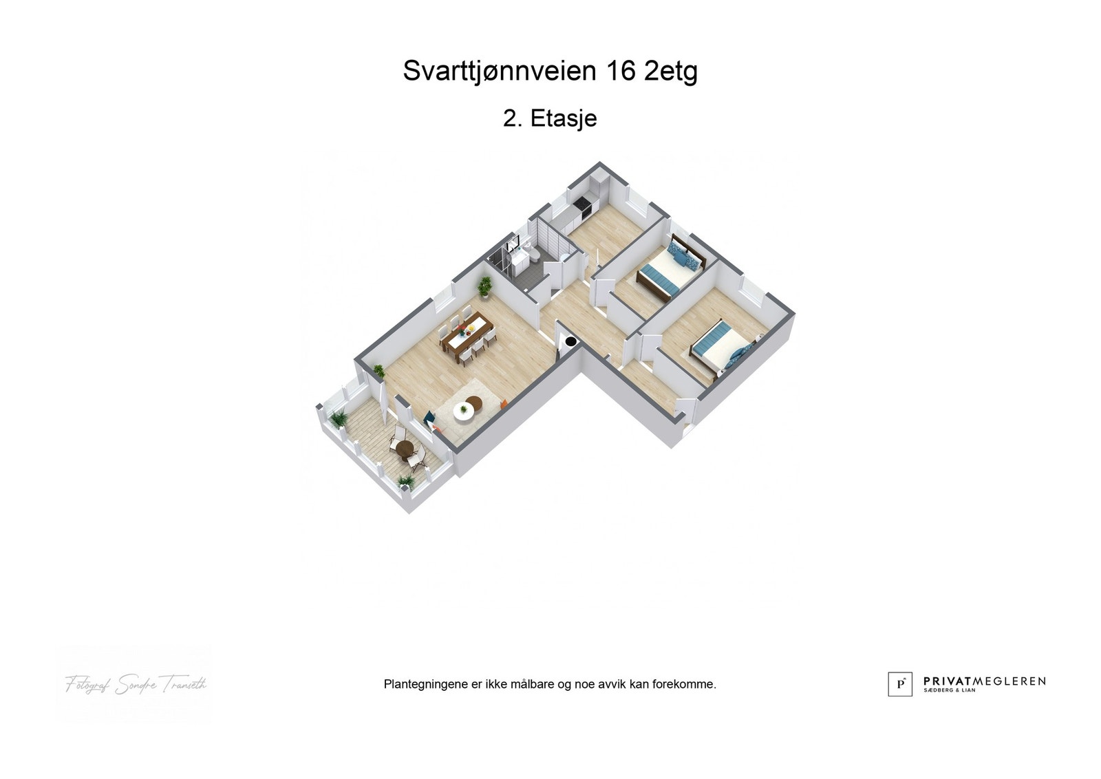 3d-skisse Galleribilde