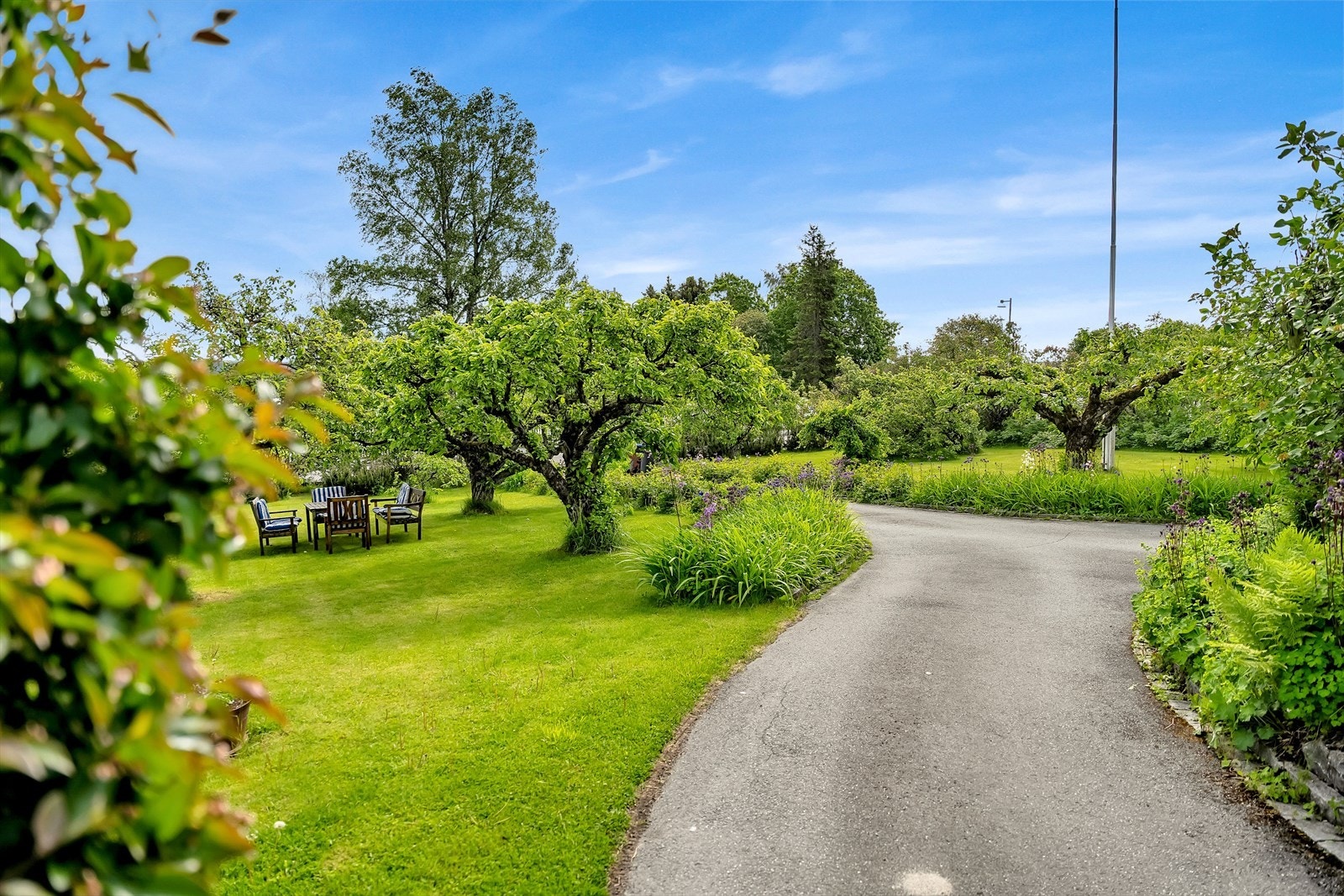Velholdt og vakker tomt med flotte planter, busker og trær. Galleribilde