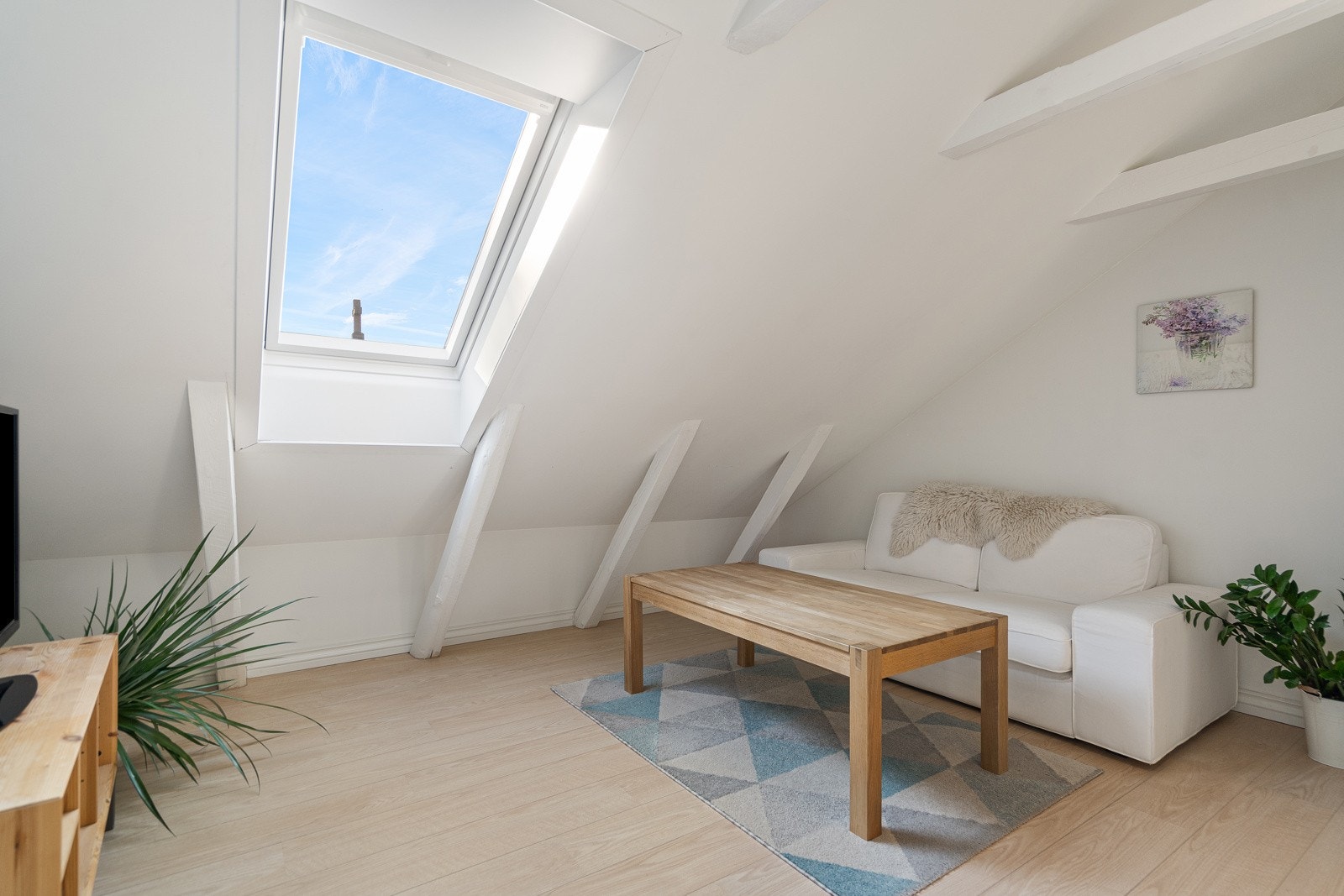 Takvindu som slipper inn godt med dagslys Galleribilde