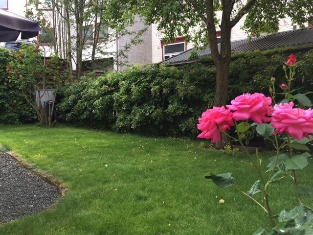 Om sommeren nyter man frodige omgivelser. (Selgers bilde) Galleribilde