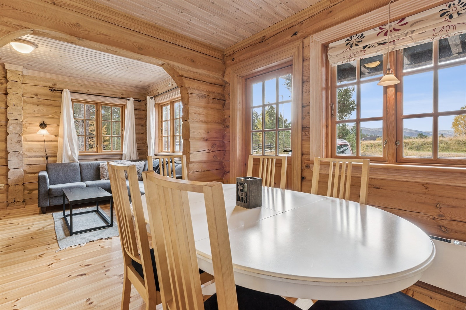 Det er fin plass for både spisegruppe og sofa møblement. Galleribilde