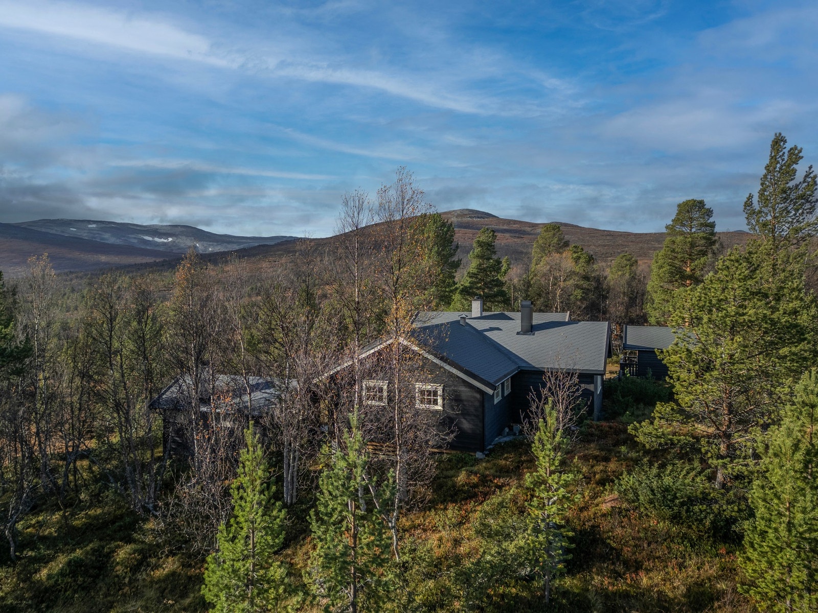 Populære skiløyper ligger 100 meter fra hytta. Galleribilde
