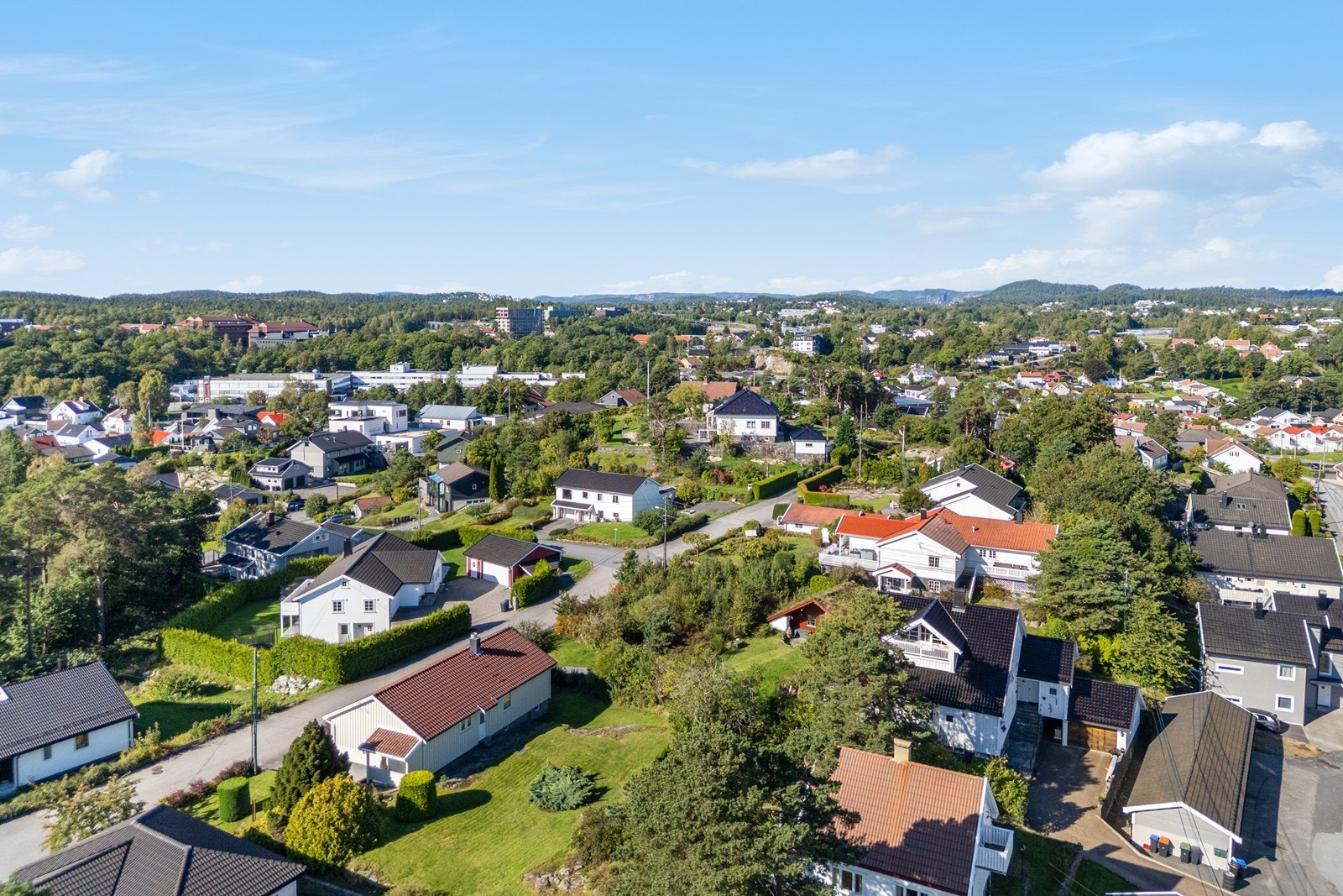 Nærområdet. Galleribilde