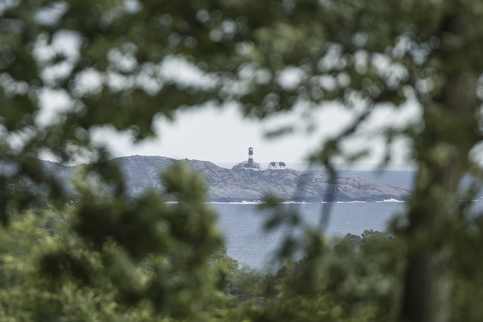 Fra eiendommen kan man se blant annet Ryvingen Galleribilde