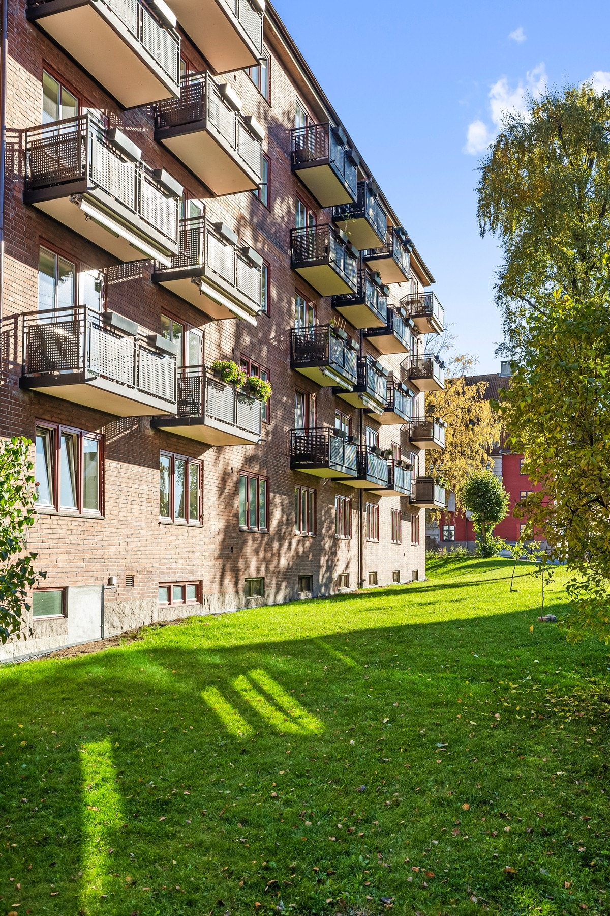 Flotte grøntarealer i borettslaget. Galleribilde
