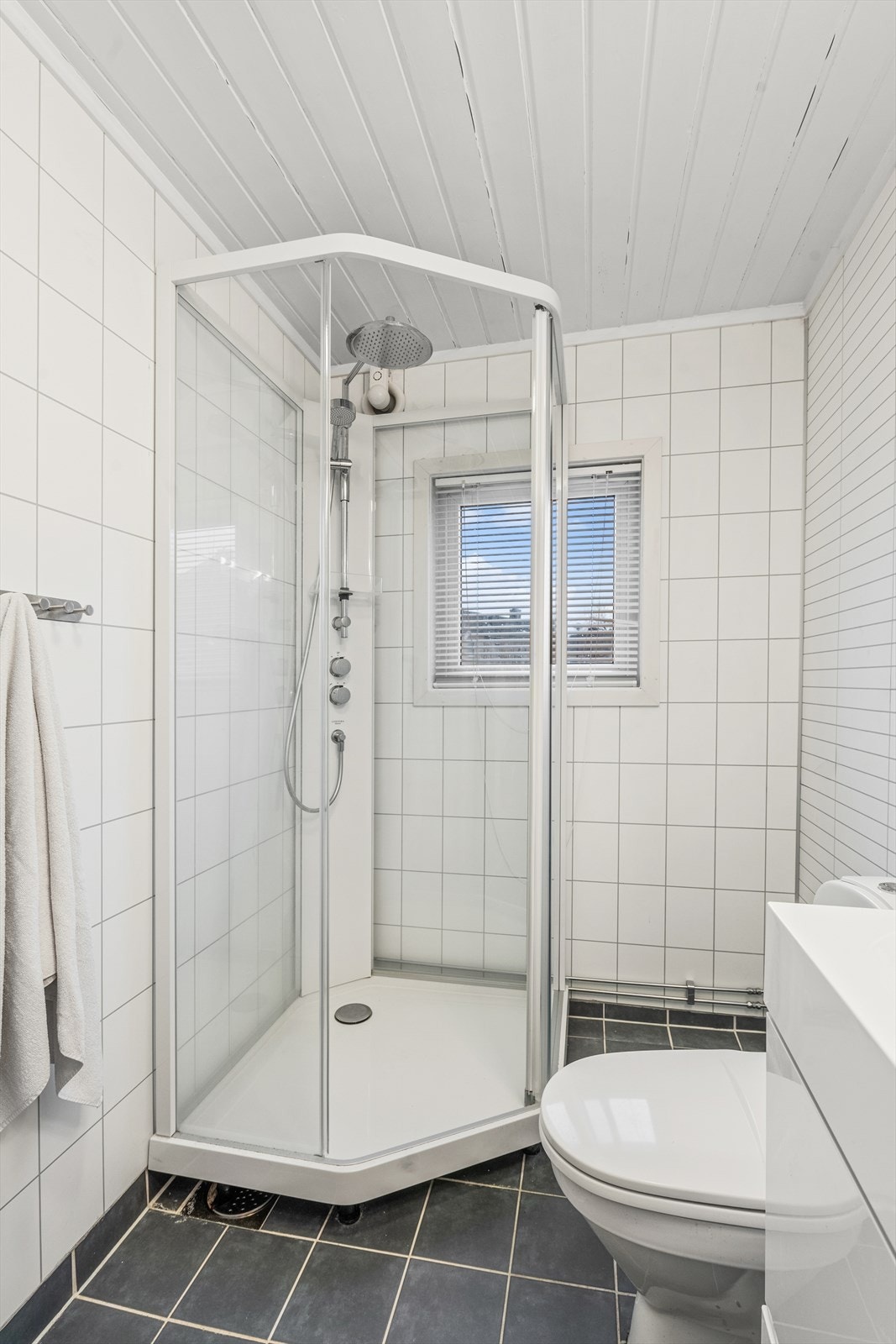 Her finner du gulvstående toalett, dusjkabinett og baderomsinnredning Galleribilde