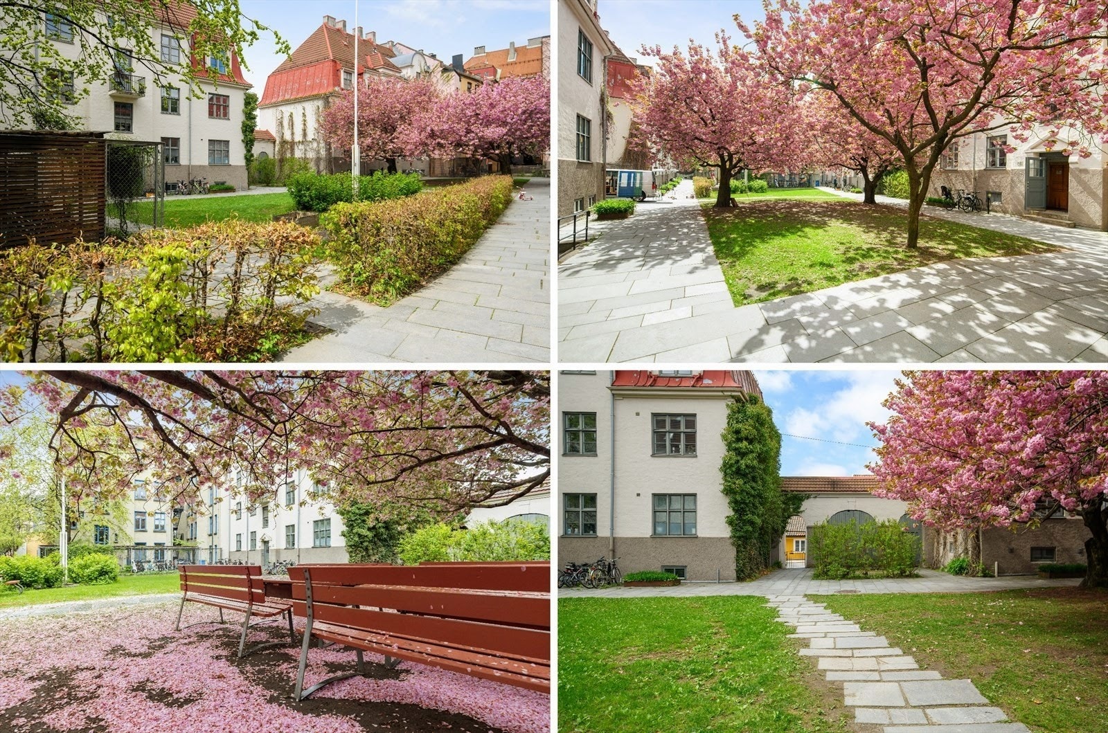 Nydelig bakgård med trærne i full blomst! Galleribilde