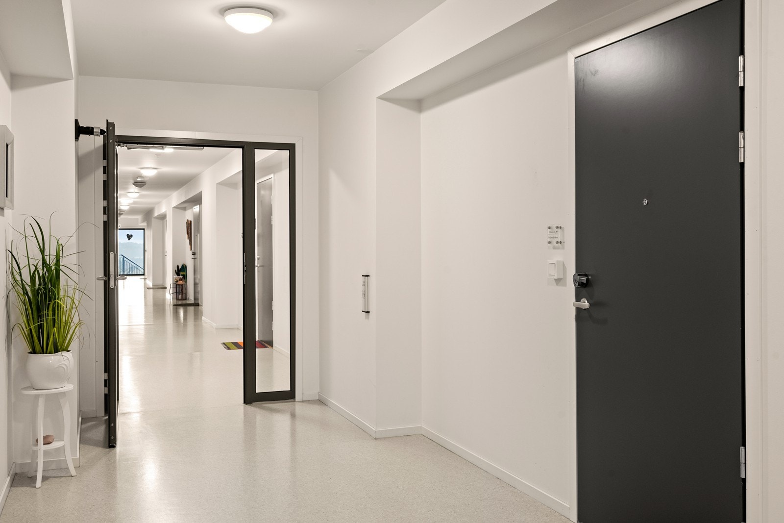 Lyse og trivelige fellesarealer Galleribilde