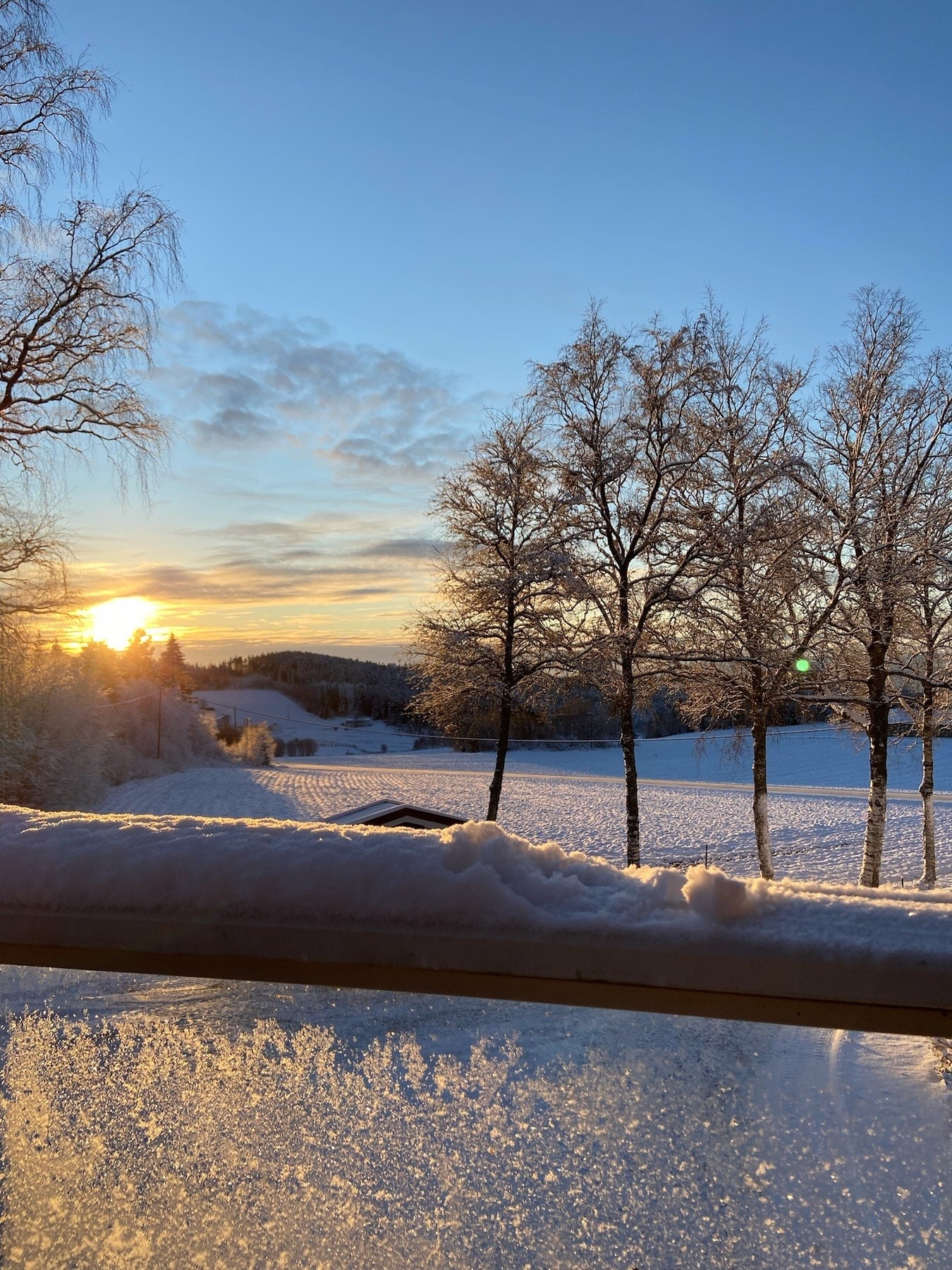 Privat bilde. Galleribilde