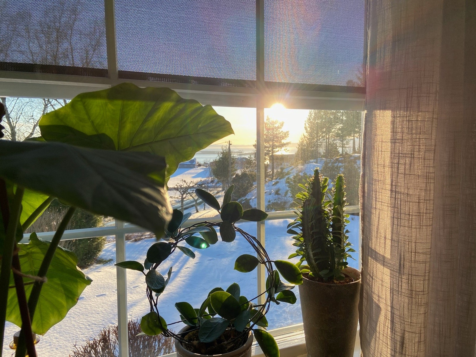 Privat bilde. Galleribilde