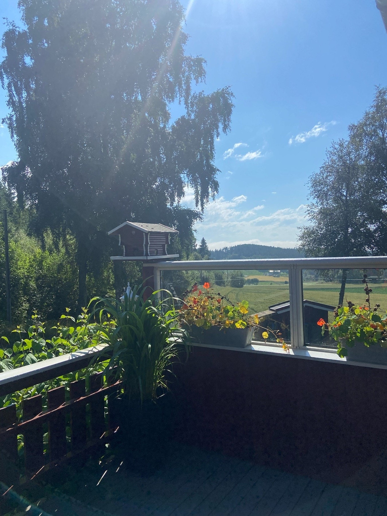 Privat bilde. Galleribilde